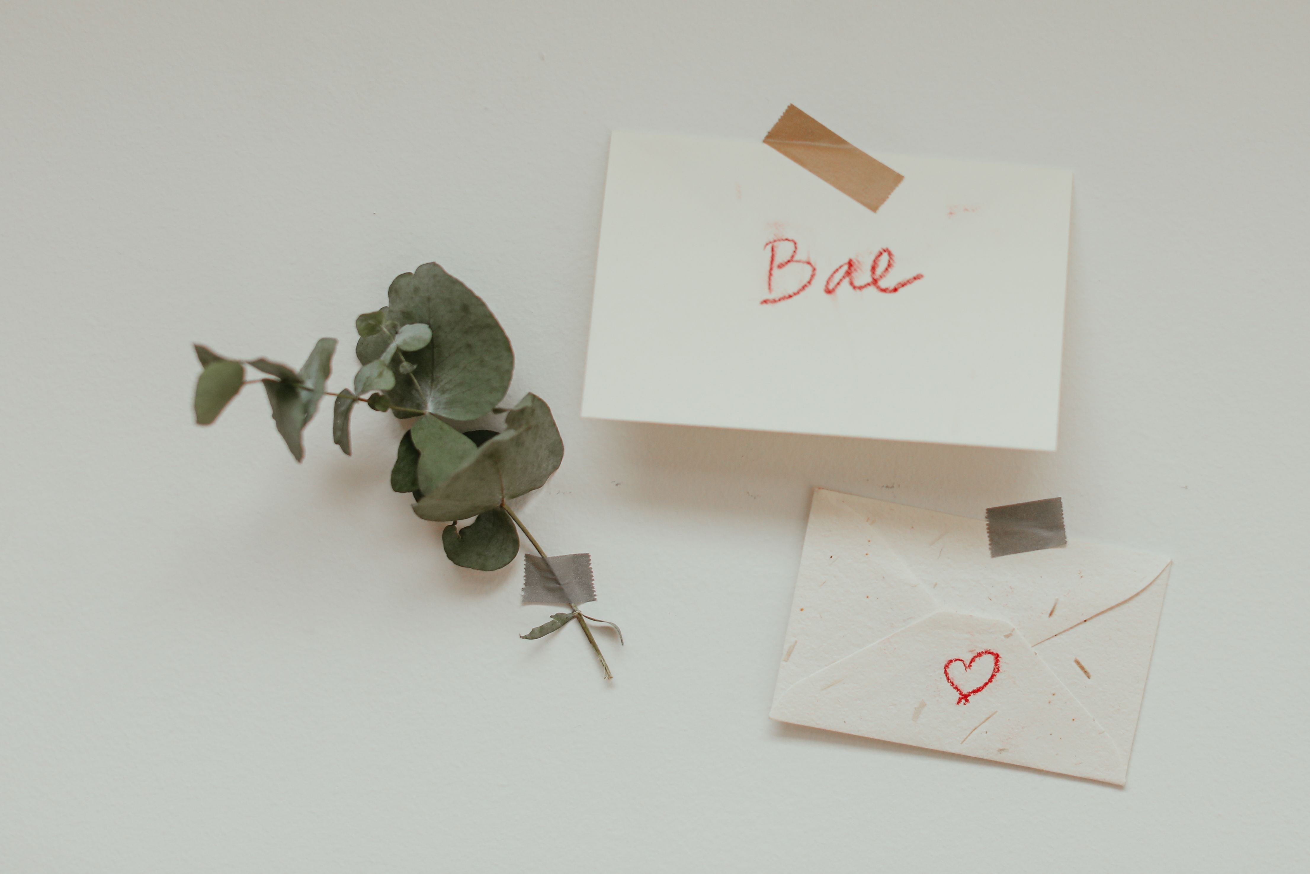 Photo by Cup of Couple
